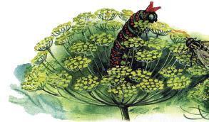 Великан на поляне, или Первые уроки экологической этики ГУСЕНИЦА