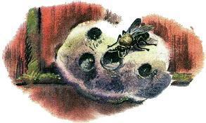 Великан на поляне, или Первые уроки экологической этики пчела