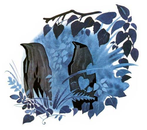 Вересковый край