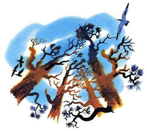 высохшие деревья