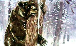 Веселый Матти (сказка) медведю лапы-то и прищемило