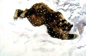 Веселый Матти (сказка) медведь убегает