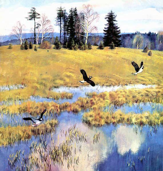 Чибисы летают весной над речкой