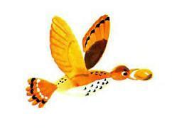 Весёлая кукушка (сказка) Весёлая кукушка с яичком