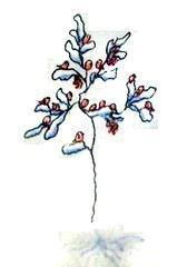 Везучий Борька (повесть) Везучий Борька