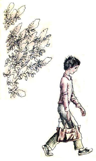 Везучий Борька (повесть) Везучий Борька