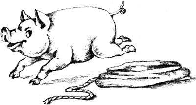 Вилли и поросенок 196