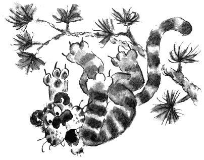 Тигра лазит по деревьям