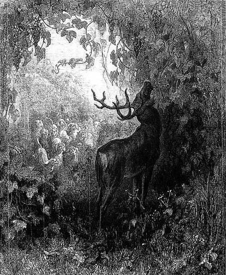 Виноградник и олень (басня) Виноградник и олень