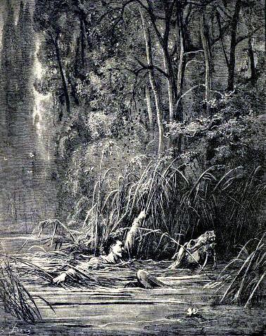 Водопад и река