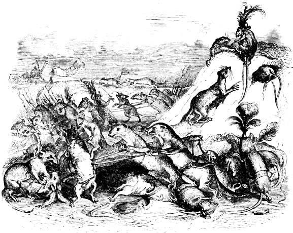 Война крыс и ласок (басня) Война крыс и ласок