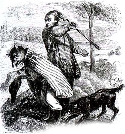 Волчья хитрость