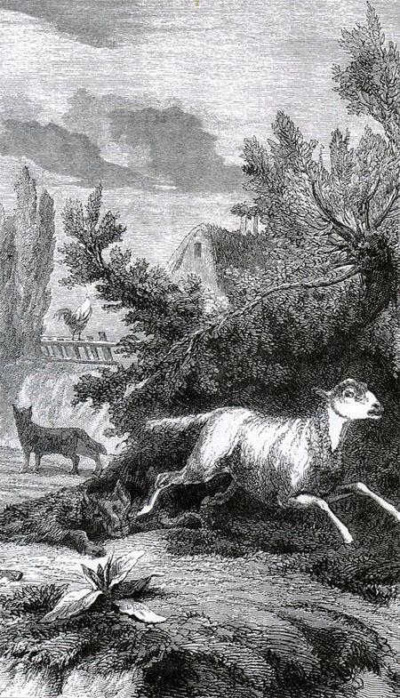 Волк и лиса (басня) Волк и лиса