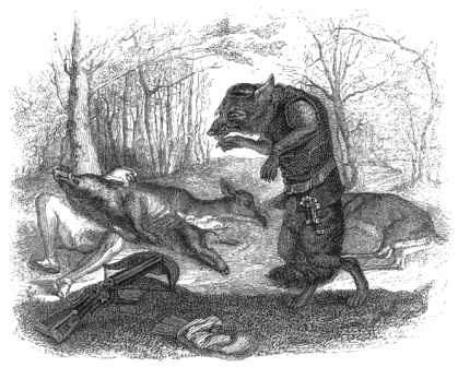 Волк и лук