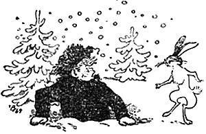 провалился в сугроб