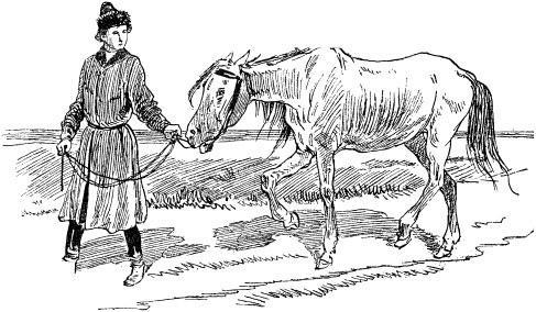 Волшебный конь (русская сказка) 128