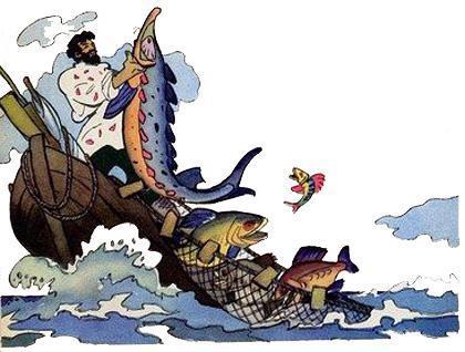 рыбак поймал белугу