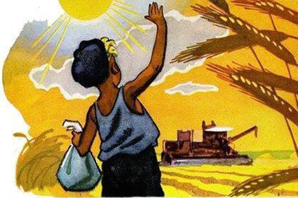 мальчик на пшеничном поле жатва