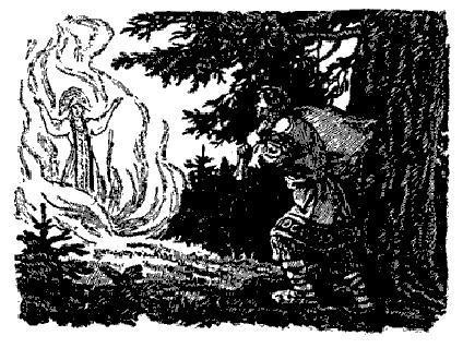 Волшебное кольцо (сказка) Волшебное кольцо