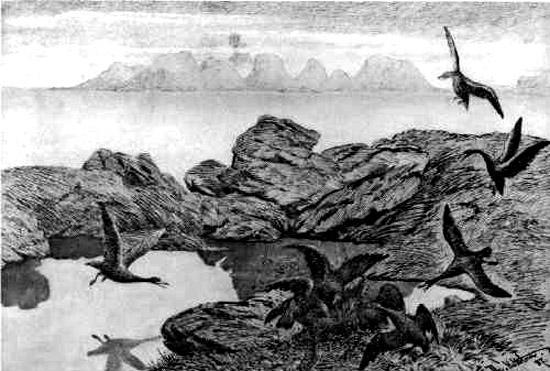 Волшебство: Волшебные птицы (сказка) птицы