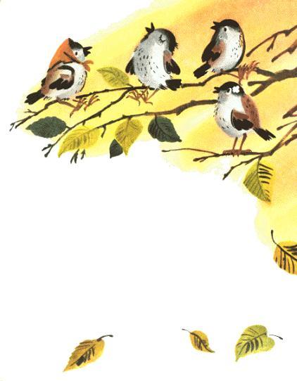 Воробьи на ветке