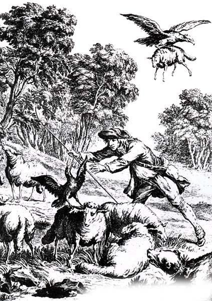 Вороненок (басня) Вороненок