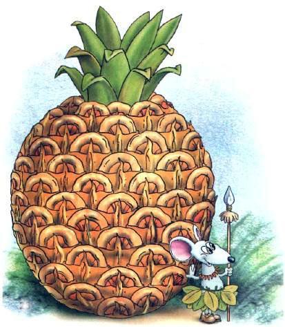 Воронина макаронина (стихи-скороболтушки) Ананас