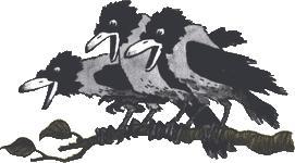 Восемь волшебных желудей вороны