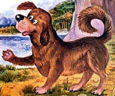 Восьминогая собака