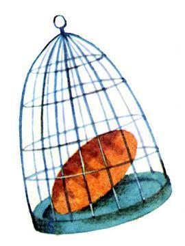 Стали грамотными! (стих) хлеб в клетке