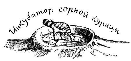 Я познаю мир. Поведение животных