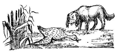 Я познаю мир. Поведение животных