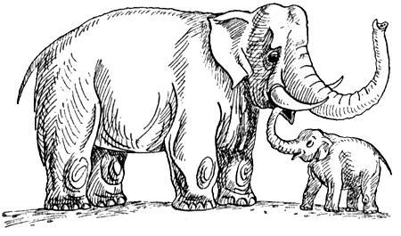 Я познаю мир. Поведение животных