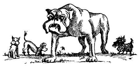 Я познаю мир. Поведение животных