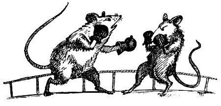 Я познаю мир. Поведение животных