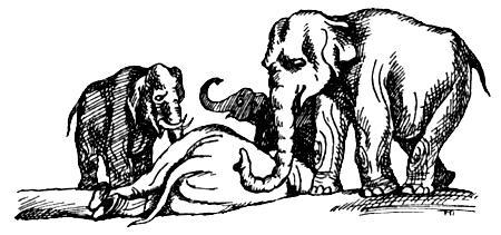 Я познаю мир. Поведение животных