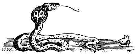 Я познаю мир. Поведение животных