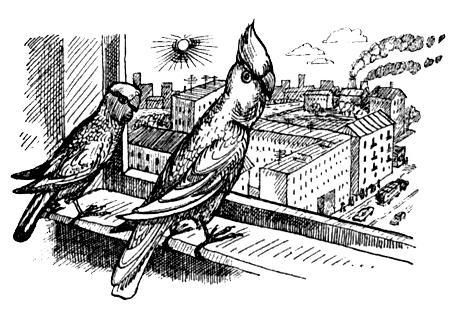 Я познаю мир. Поведение животных