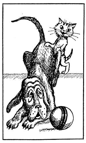 Я познаю мир. Поведение животных