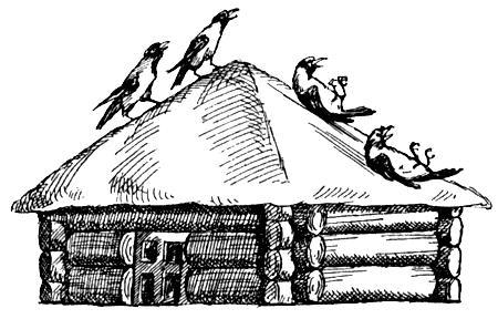 Я познаю мир. Поведение животных