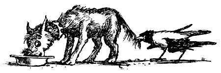 Я познаю мир. Поведение животных