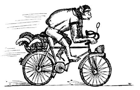 Я познаю мир. Поведение животных