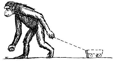 Я познаю мир. Поведение животных