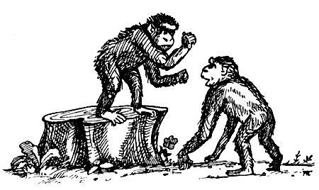 Я познаю мир. Поведение животных