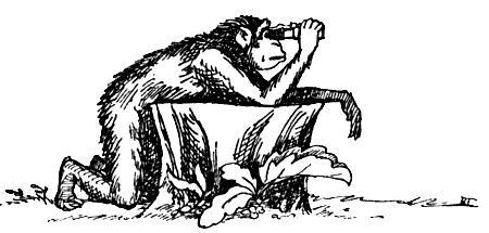 Я познаю мир. Поведение животных