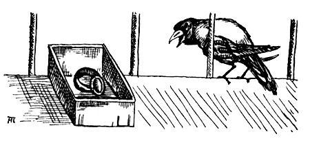 Я познаю мир. Поведение животных