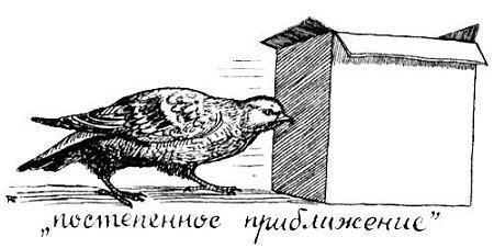 Я познаю мир. Поведение животных