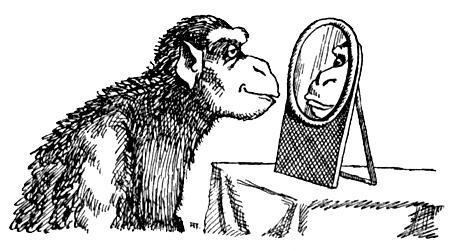 Я познаю мир. Поведение животных