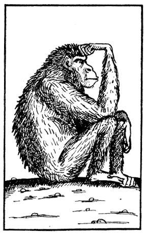 Я познаю мир. Поведение животных