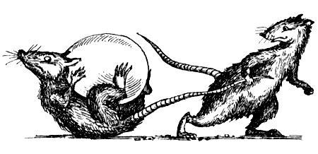 Я познаю мир. Поведение животных